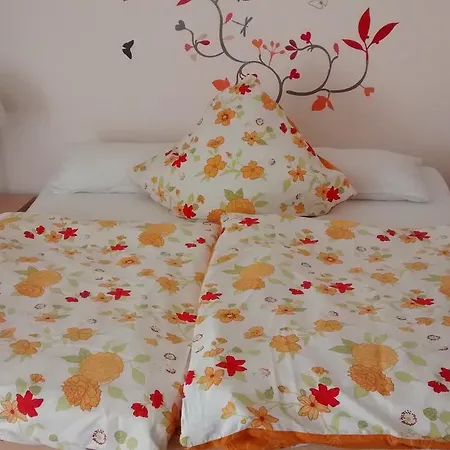 Haus Im Grunen Bed and breakfast *